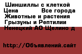 Шиншиллы с клеткой › Цена ­ 8 000 - Все города Животные и растения » Грызуны и Рептилии   . Ненецкий АО,Щелино д.